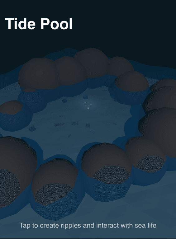 Tide Pool Aquarium