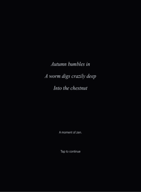 Zen Haiku