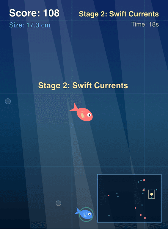 Little Fish in the Big Pond