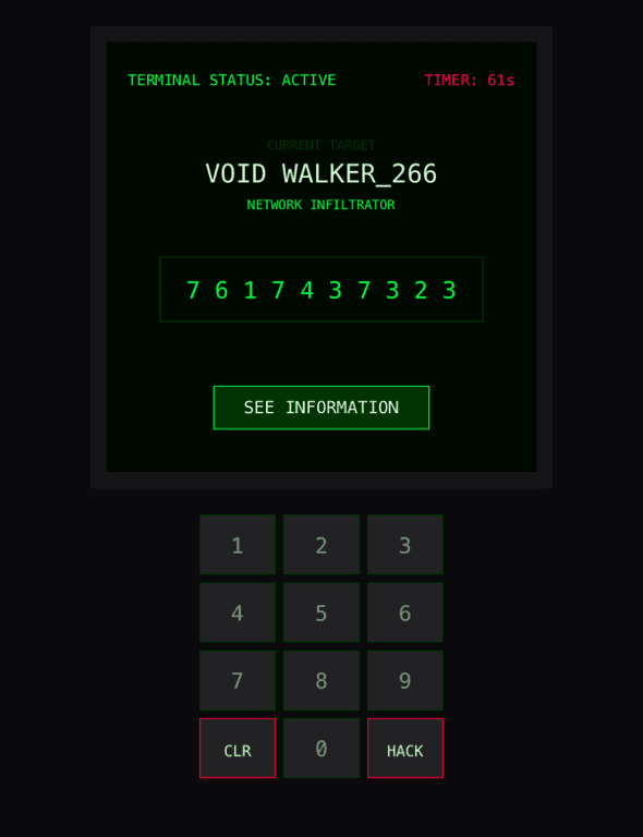 Terminal Hacker
